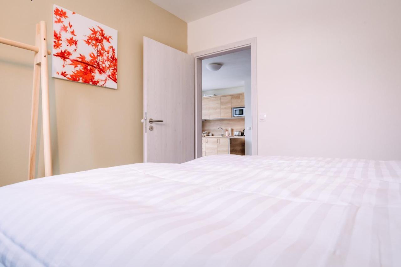 Aura VI Apartamento Boží Dar Exterior foto